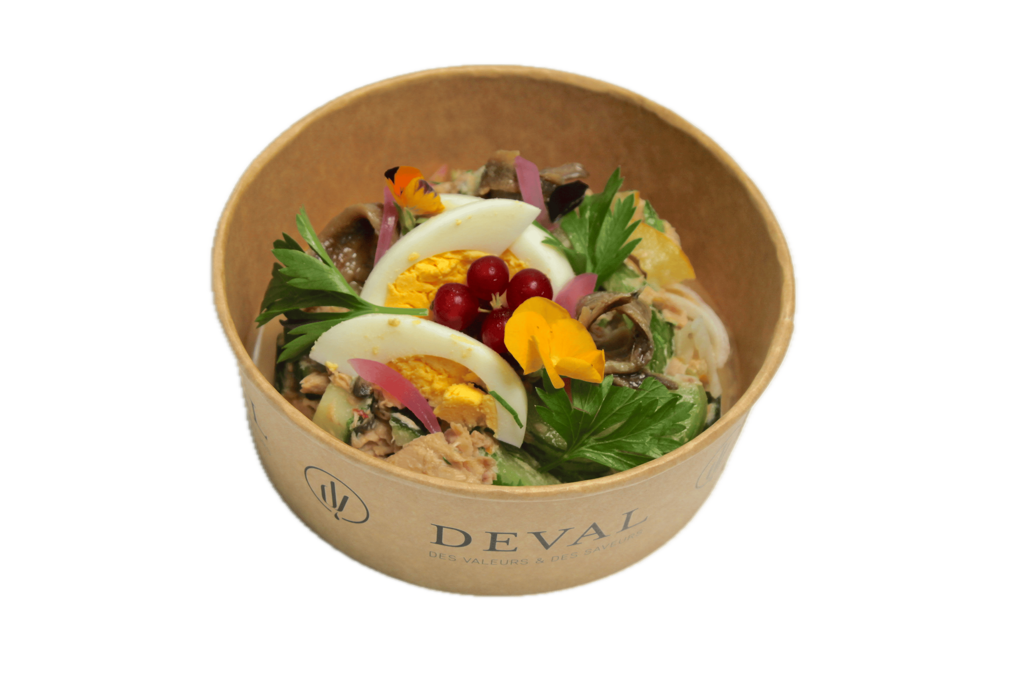 Salade Nic Oise Tomates Oeufs Durs Concombre Olives Anchois Avec Arrie Re Plan Supprime 